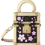 Louis Vuitton X TM Camera Box M14173 Brown